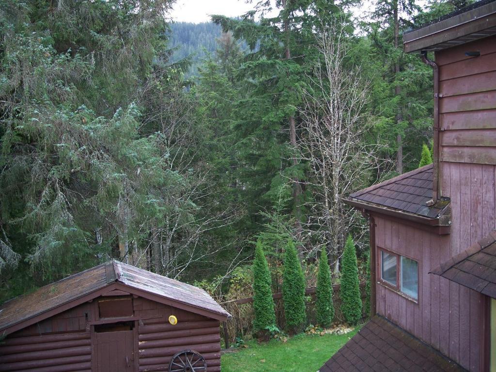 Tall Trees Bed & Breakfast Принц Рупърт Стая снимка